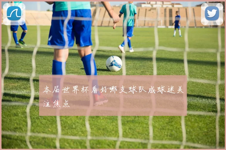 本届世界杯看好哪支球队成球迷关注焦点