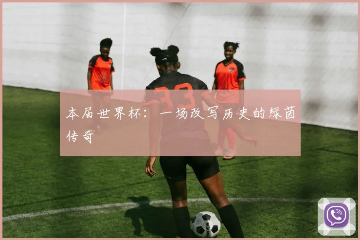 本届世界杯：一场改写历史的绿茵传奇