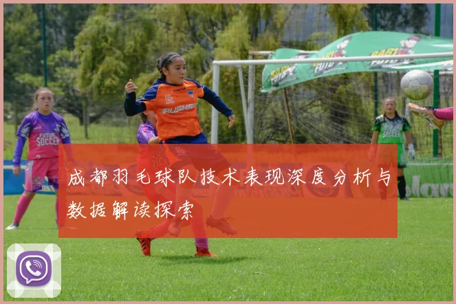 成都羽毛球队技术表现深度分析与数据解读探索